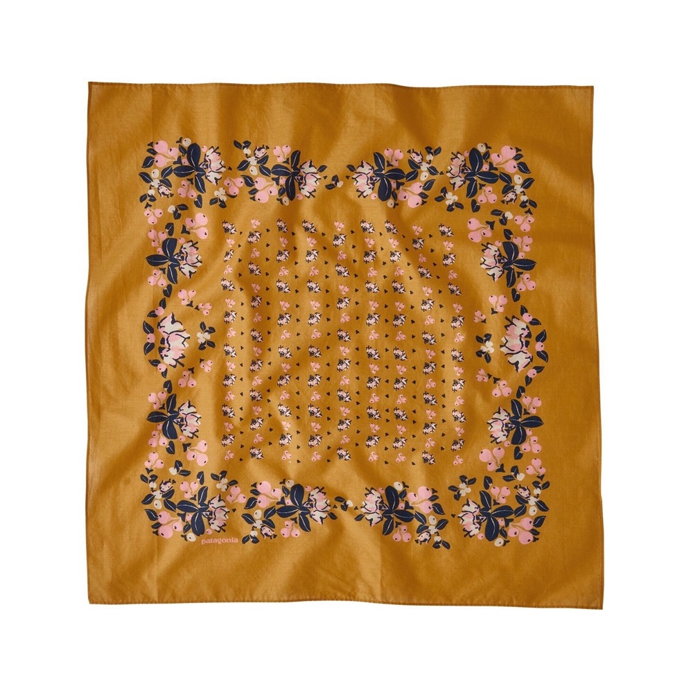 Patagonia bandana